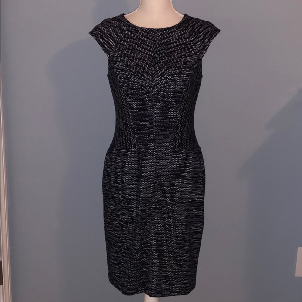 Ann Taylor Navy and White Cap-sleeve Sheath Dress